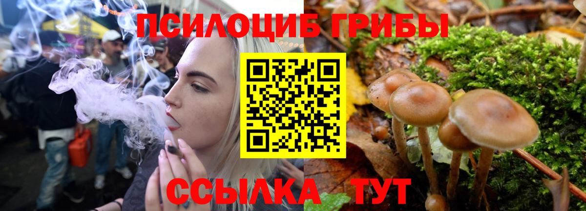 Псилоцибиновые грибы мухоморы Белебей