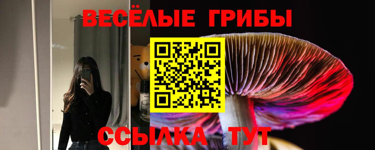 Галлюциногенные грибы GOLDEN TEACHER  купить   Белебей  Вход с VPN 