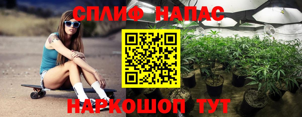 Альфа ПВП Белебей